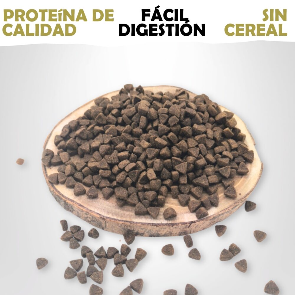 Pienso de Salmón y Atún · Sin Cereal - Imagen 2