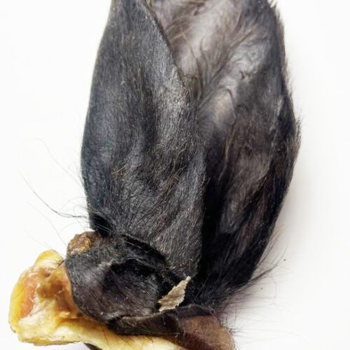 Oreja de vacuno para perros