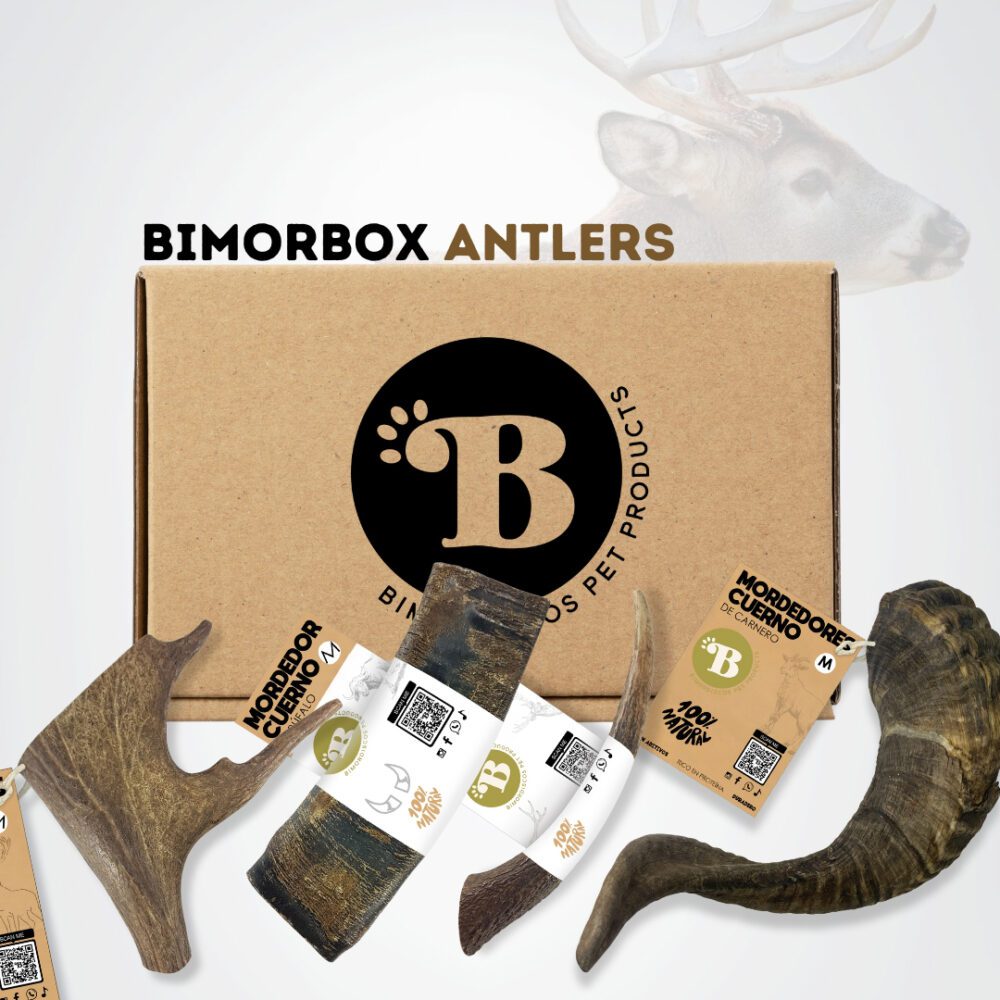 BIMORBOX NATURE LOVERS 🦌