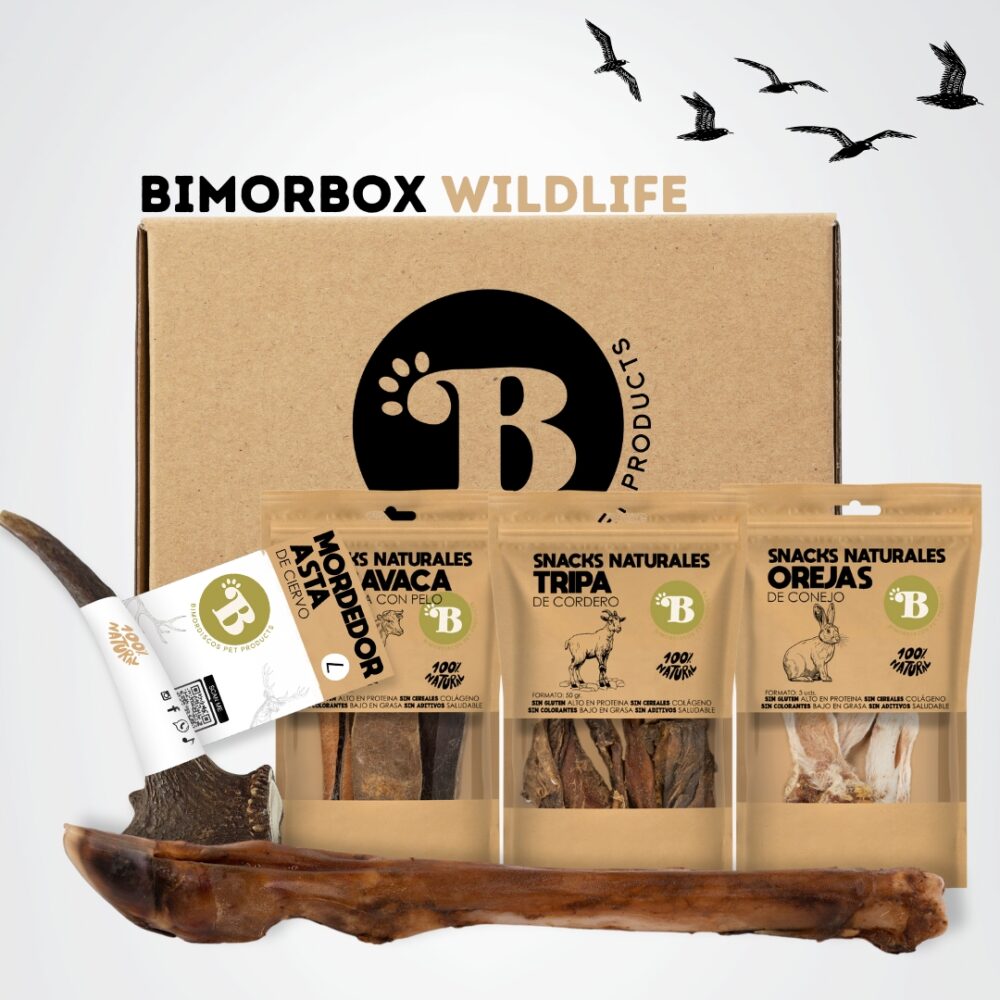 BIMORBOX WILDLIFE 🐺