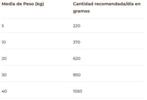 PuroMenu Festín de Pollo 7 Puromenu festin de pollo - BIMORDISCOS